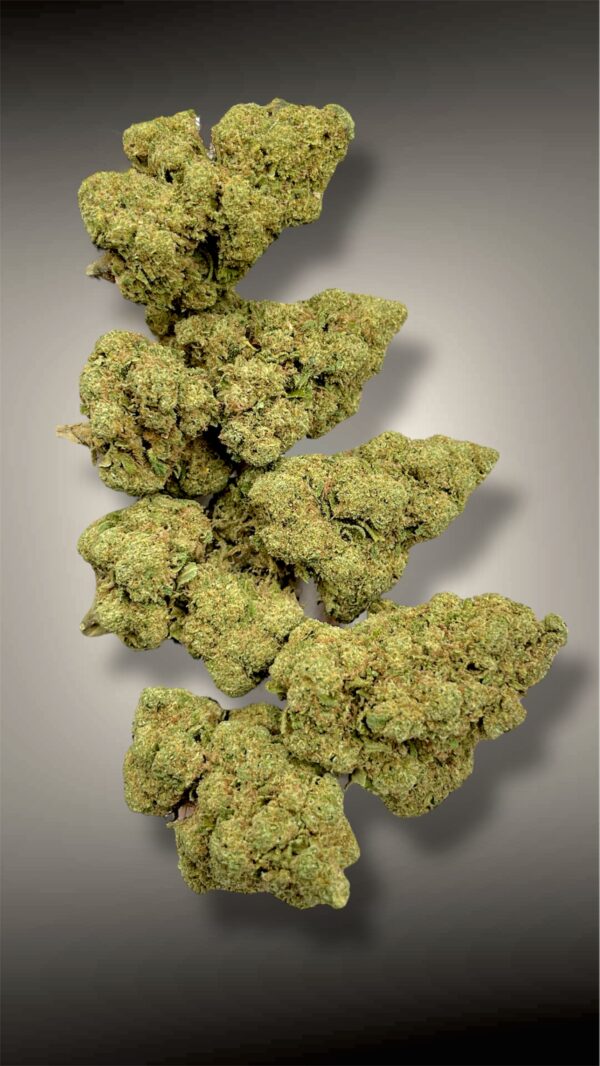 Gelato 41 - Imagen 2