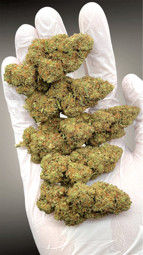 Fruit Cake - Imagen 2
