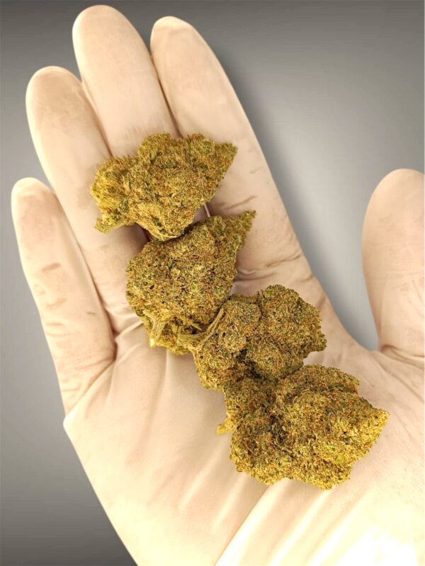 Cali Lemon - Imagen 2