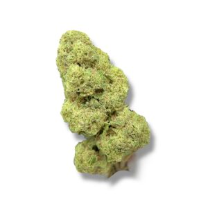 Gelato 41