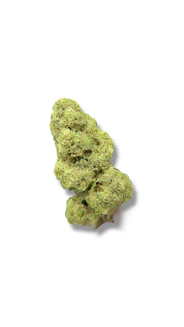 Gelato 41