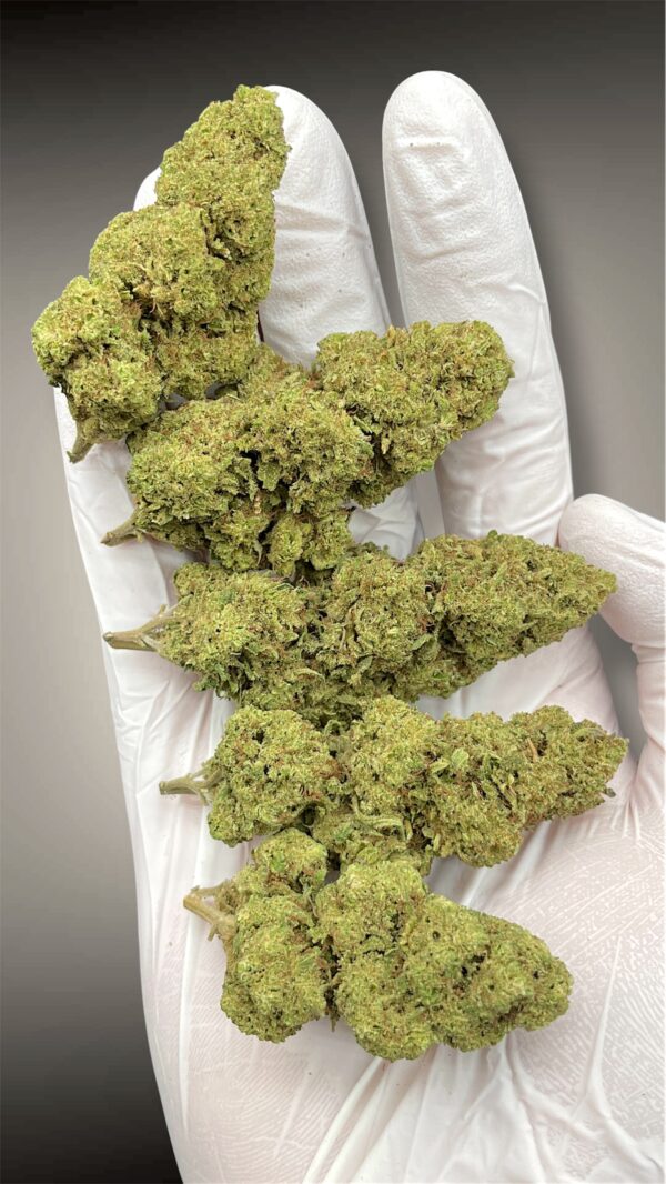 Gelato 41 - Imagen 2
