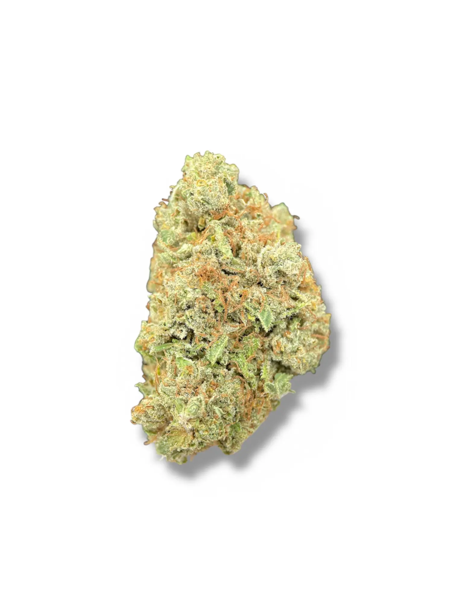 Apple Friter CBD