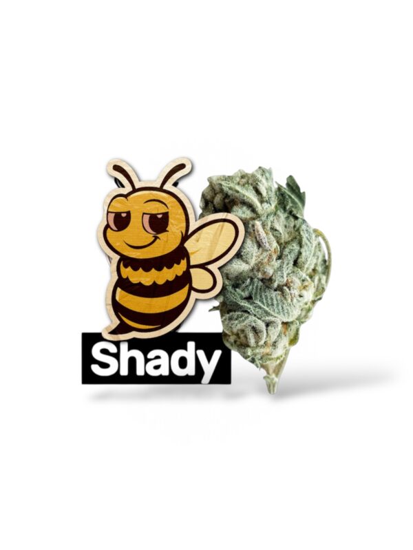 Shady Caramel