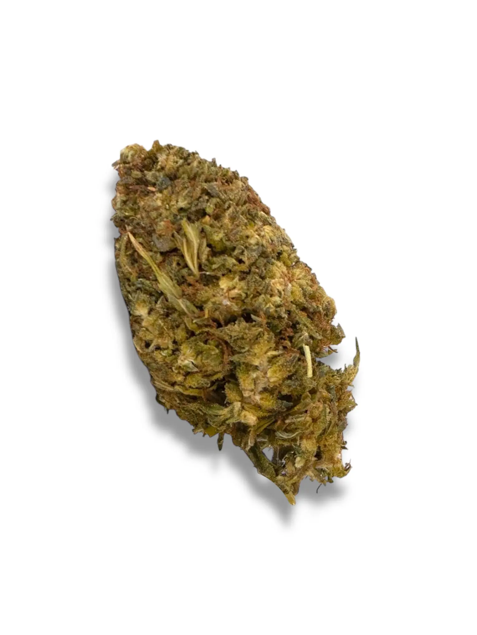 Mango Haze C2M