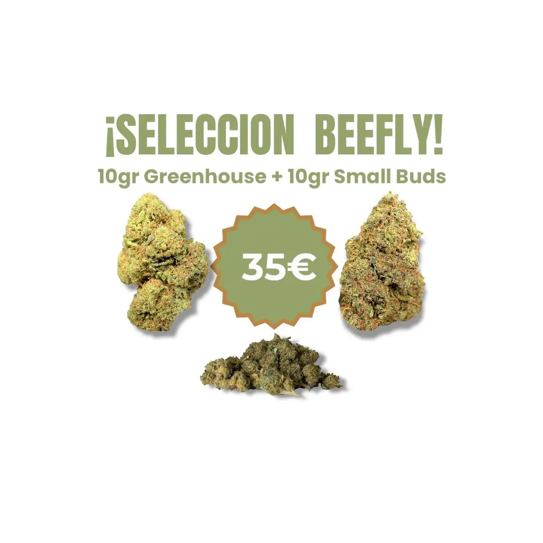 Pack Flores CBD