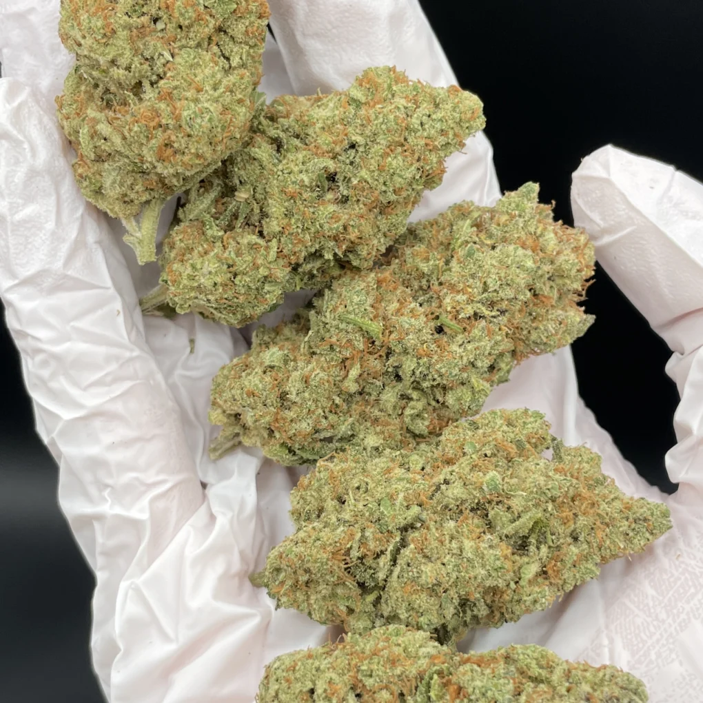 AMNESIA_HAZE_1