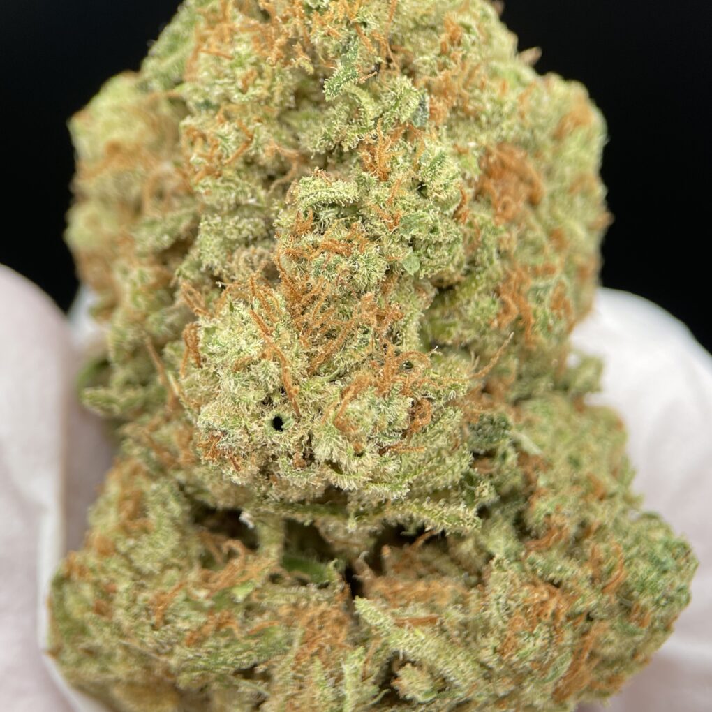 AMNESIA_HAZE_2