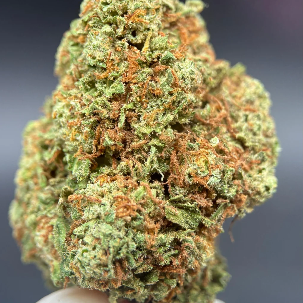 FRUIT_CAKE_4