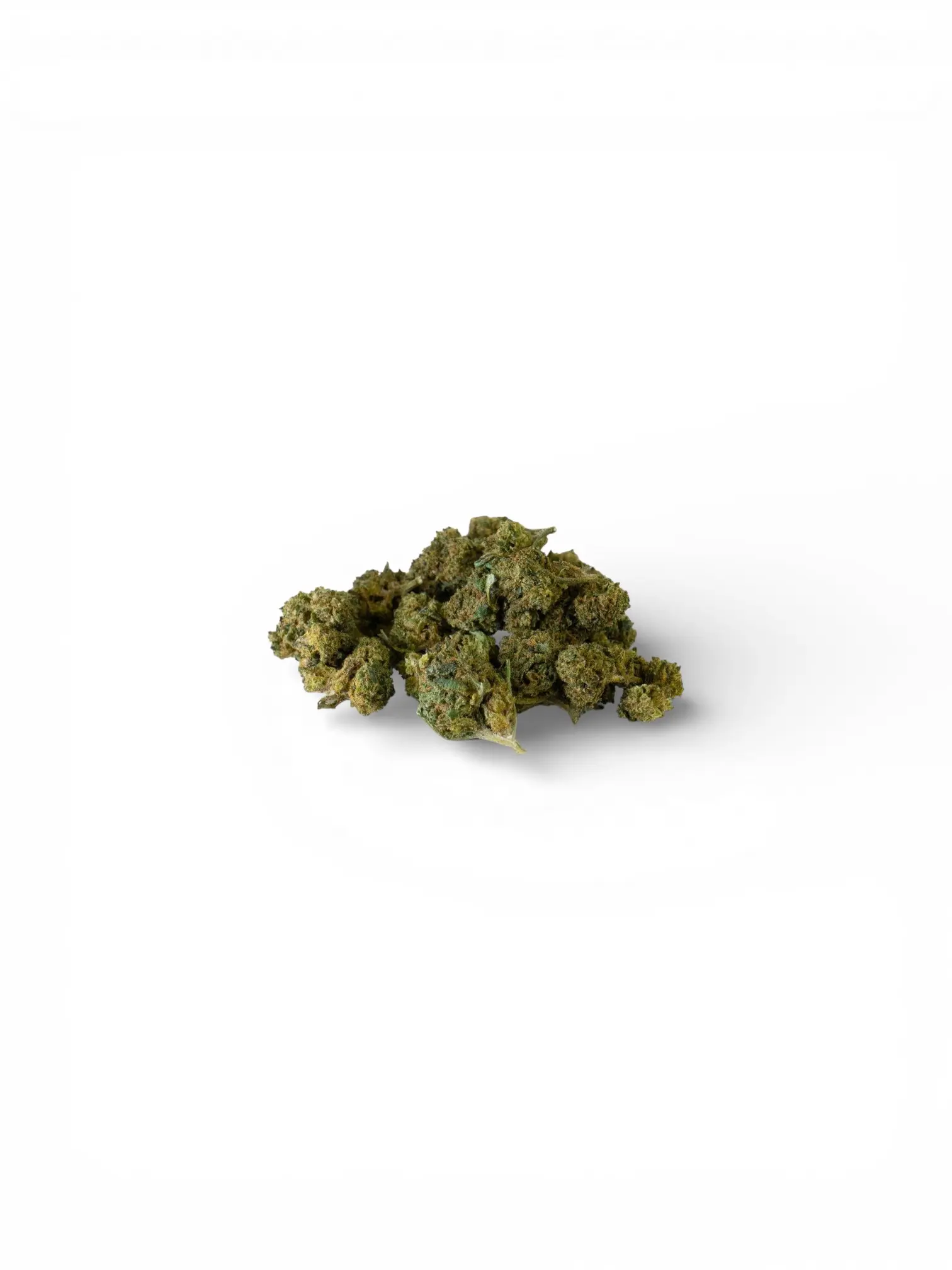 Sm Green Lady