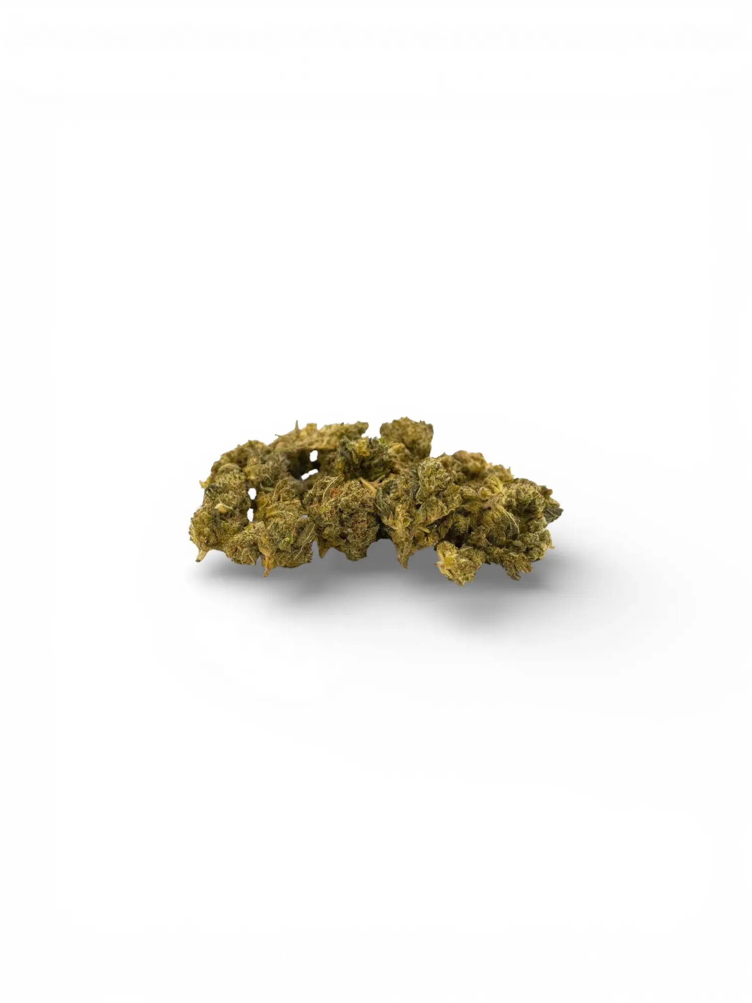 Sm Moby Dick